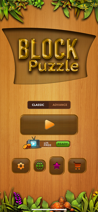 Block Puzzle Wood Game
